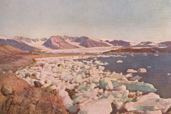 120-Im-Hintergrund-der-Koenigsbucht
