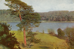Adolf Miethe - Rotophot-Postkarten - Monate