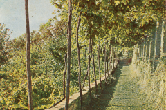 1016-Dorfbilder-2