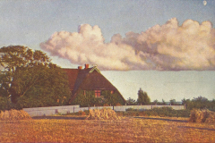 1031-Sommerwolken-V