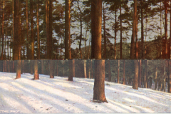 1064-Winter-1