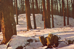 1064-Winter-2