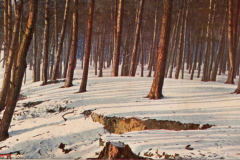 1064-Winter-9