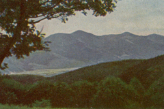 327-Elsass-Lothringen-6-Blick-auf-die-Vogesen-von-Drei-Aehren-aus
