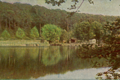 312-Grunewald-1-Stoessen-See-am-Grunewald