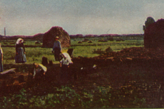 303-Lueneburger-Heide-3-Torfstich-in-der-Heide
