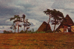303-Lueneburger-Heide-5-Verlassene-Huetten