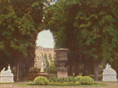 Adolf Miethe - Stollwerck - Potsdam