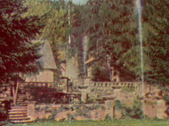 Adolf Miethe - Stollwerck - Schwarzwald