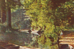 308-Spreewald-1-Motive-von-der-Hauptwasserstrasse-in-Burg