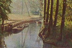 308-Spreewald-4-Wasserstrasse-in-Lehde