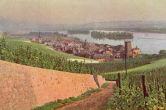 Adolf Miethe - Rotophot-Postkarten - Rhein Mosel