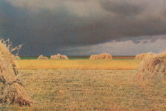 1010-Gewitter-in-der-Ernte
