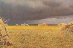 1010-Lachende-Fluren-Gewitter-in-der-Ernte