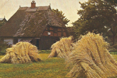 1010-Lachende-Fluren-Rogenernte