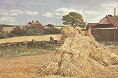 1010-Lachende-Fluren-Sommertag