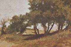 1014-Aus-deutschen-Waeldern-Alte-Weiden