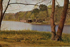 1022-Maerkische-Landschaften-I-See-im-Grunewald