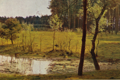 1022-Maerkische-Landschaften-I-a