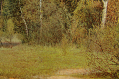 1022-Maerkische-Landschaften-I