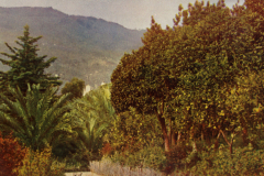 1023-Riviera-II-Orangenhain-in-Santa-Margherita