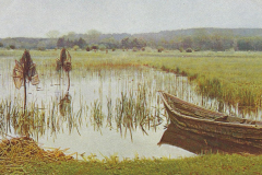 1024-Die-12-Monate-05-Mai