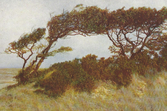 1024-Die-12-Monate-09-September