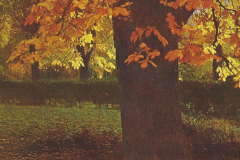 1024-Die-12-Monate-10-Oktober