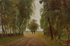 1026-Maerkische-Landschaften-II-Maerkischer-Feldweg