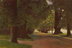 1026-Maerkische-Landschaften-II-Parkweg