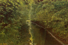 1026-Maerkische-Landschaften-II-Stilles-Wasser