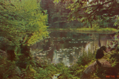 1026-Maerkische-Landschaften-II-Waldweiher