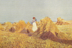 1028-Tageszeiten-03-Mittag