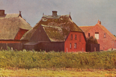 1028-Tageszeiten-04-Nachmittag