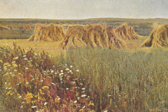 1029-In-Wind-und-Sonnenschein-Augustschwuele