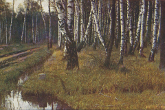 1030-Waldeszauber-Birkenwald