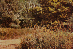 1039-bayrische-Landschaften-I-Amper-Landschaft