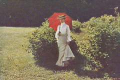 1042-In-den-Duenen-2