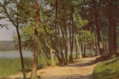 1062-Grunewald-Grunewaldsee