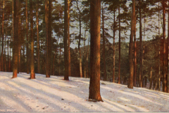 1064-Winter-1