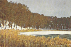 1064-Winter-10