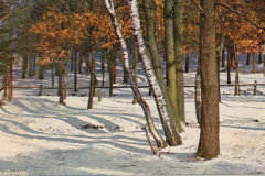 1064-Winter-5