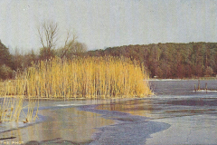 1064-Winter-7