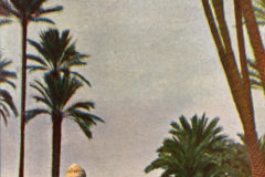 1076-Orient-Memphis