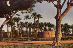 1076-Orient-Palmenhain-auf-dem-Wege-nach-Heliopolis