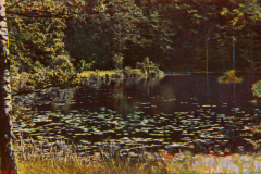 1079-Ruegen-Schwarzer-See-bei-Sellin