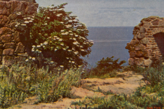 1080-Bornholm-Blick-von-der-Ruine-Hammerhus