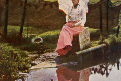 1082-Im-Sonnenschein