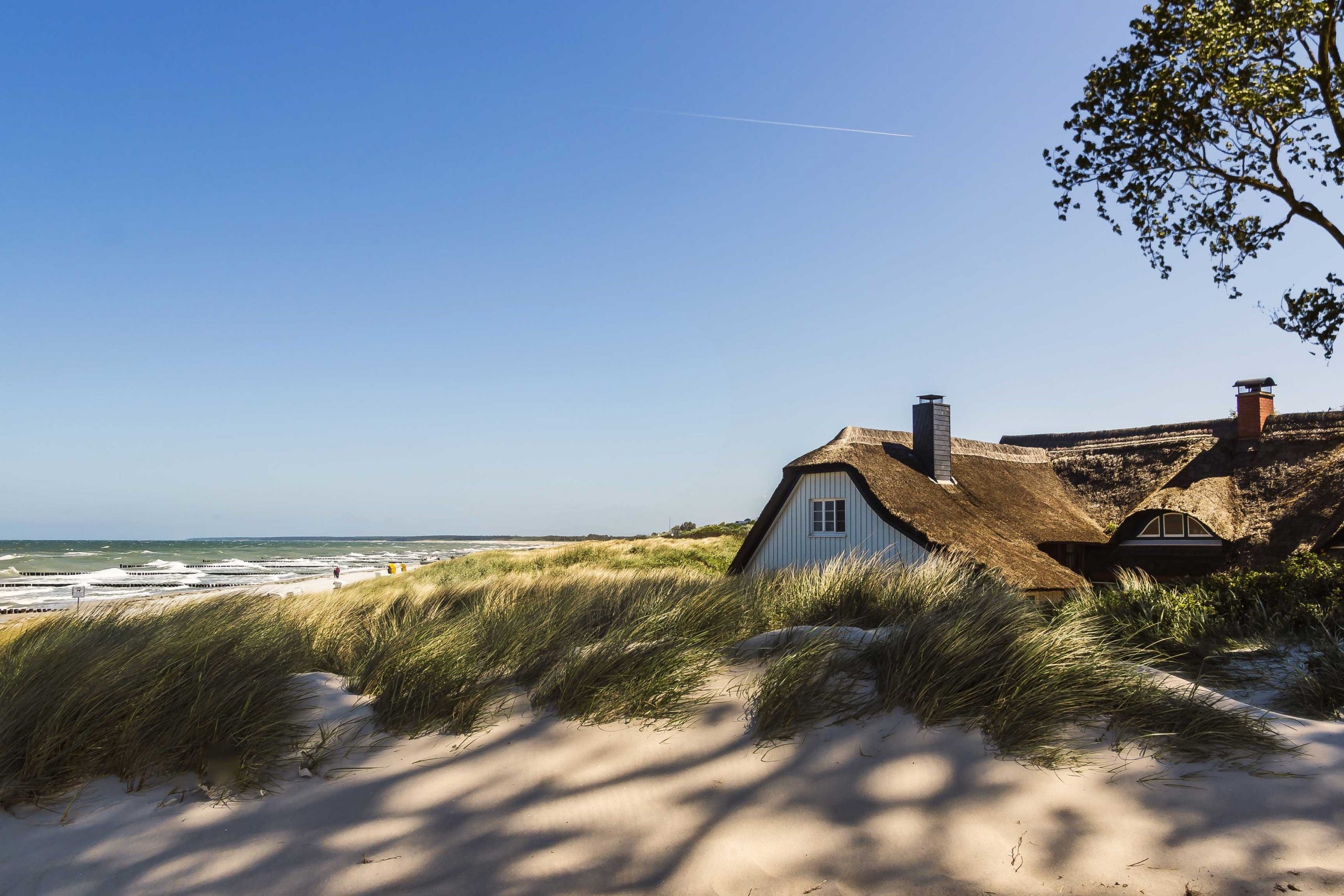 Ahrenshoop wird Bad der schaffenden Intelligenz