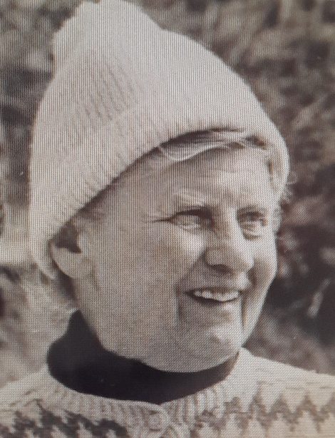 Die Islandbriefe von Erne Wehnert